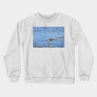 Heron hunting for fish on the River Tweed Crewneck Sweatshirt